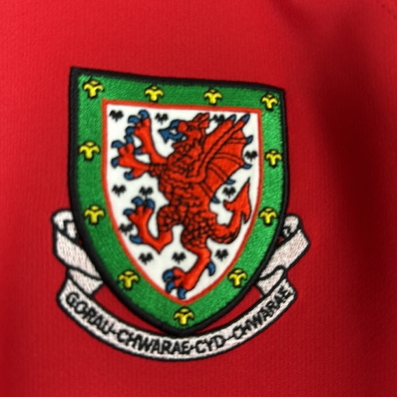 Wales 2010 - 2011 Home Jersey - Umbro Football Kit, Size Large - Picture 3 of 8